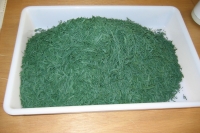 Spirulina after drying. A light grinding and the resulting flakes will be ready to be packed.